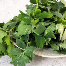 더조은푸드 [비엠푸드] 산지직송 여수 방풍나물 1kg, 단품없음