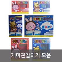 개미관찰하기모음 개미기르기 개미관찰 개미탐구, 개미관찰 대 블루