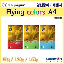 영신종이도매센터 플라잉칼라 색지 A4 잉크젯 레이저 칼라사무용지, 02. 플라잉칼라 120g E27 초록색, 20매