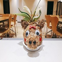 돼지 토피어리재료 미니화분 체험학습 공기정화, 루돌프