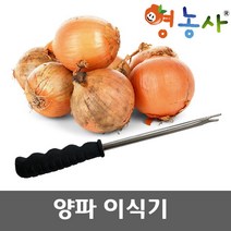 양파 이식기 - 작물이식기 모종이식기 농자재 텃밭, 단품