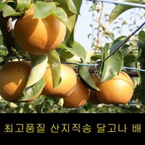 고씨네 프리미엄 배 4kg 서양배 신고배 나주배 배즙, 상세페이지 참조
