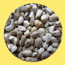 잉글랜드 유황홍화씨 볶은 토종 홍화 홍아 씨 600g