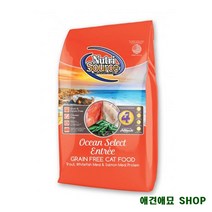 칼슘 고단백 그레인프리 고양이사료 고양이용품쇼핑몰 애완용고양이 반려묘