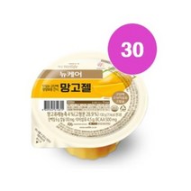 대상웰라이프 뉴케어 망고젤 100g x 30개