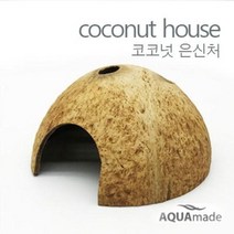 코코넛 은신처 / 가재놀이터 열대어 놀이터 안시 산랑상