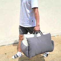 리븐스 두툼한 더블쿠션 강아지 카시트 반려동물 이동가방 펫시트, 라이트 그레이