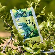 해남땅끝 건강부추즙, 1box, 120포(두달분)