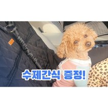 강아지 안전벨트 차량용 반려견 목줄 애견 충격흡수 리드줄, 클립형, 블루