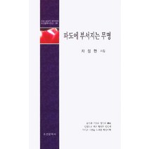파도에 부서지는 무명, 조선문학사, 차정현
