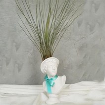 아트박스/모리아트 대만여인 석고상화분 틸란드시아 준세아+모스+리본, 대만 여인