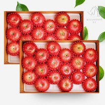 [웰굿]경북 정성담은 명품 사과선물세트 총10kg(5kg(16-18과)x2), 단품
