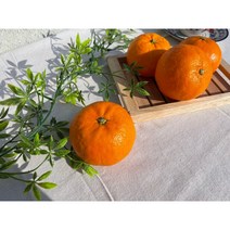 [제주도 산지직송]최상의 달콤함 신품종 제주도 수라향 신비향 4.5kg, 수라향 4.5kg 로얄혼합과(30과 내외)