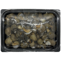 흑고둥 800g 동해안 흑골뱅이, 자숙 흑고둥 800g