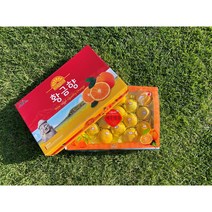 제주도 직송 황금향 가정용 3kg/5kg, 황금향 5kg(가정용) 30과 전후