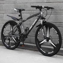 팻바이크 특이한 출퇴근 레트로 자전거 MTB 산악, 27speed, Three Knive Gray