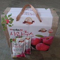 [산지직송 문경 꿀사과 생즙 99.9%] 한아름마켓 문경사과축제 산지직송 신선한 문경 꿀사과 생즙 120ml 50팩 100팩, 120ml 100팩