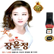 SY019 트로트 여제 솔미디어 장윤정 90곡/USB앨범/최상의 음질