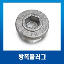졍션박스 엔트리홀 마개 방폭플러그54mm, 1개