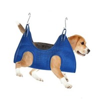 홈앤네이처 강아지 미용거치대, S, 블루