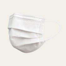국산 덴탈 마스크 100매입 대형 일회용 1회용 KFAD 재고-784EA, 1, 본상품선택