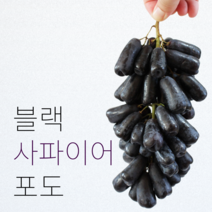 블랙 사파이어 포도 1kg 2kg 3kg 씨없는 포도 가지포도 마녀포도 수입산, 3kg (실중량 2700g), 1개