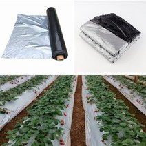 10m 0.012mm 멀치 필름 실버 블랙 플라스틱 멀치 가든 그라운드 커버 필름 서리 보호 따뜻한 잡초 방제 유지, 10미터, 폭 0.8m, 1개
