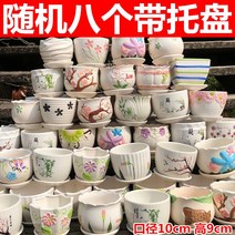 도자기 접시 화분 있음 트레이 팬시 고기 식물 그린 뤄 심플 블루 가정용 소다육 1663842512, 랜덤 8개 있음 트레이