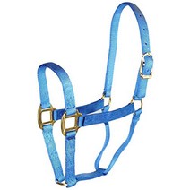 Hamilton 1 Nylon Quality Horse Halter 검정 스테인리스 스틸, Average 800-1100 Pounds, Raspberry, Raspberry
