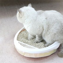 (주)트리 인천가정지사 고양이 화장실 봉투 3롤 세트 (94x45cm) (8974568)