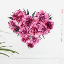 DTP 생활방수 컷트지원단) 옹기종기 야생화-핑크로즈(a3129) a2