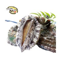[완도친구] 냉동 전복 20~25마리/500g, 상세 설명 참조