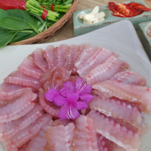전라도 흑산도홍어 국내산홍어 목포홍어 국산홍어 흑산홍어 500g 1kg 1.5kg 생홍어 삭힌홍어 안삭힌홍어 애 ( 홍어애 코 회초장 증정), 약숙성, 흑산홍어1.5k