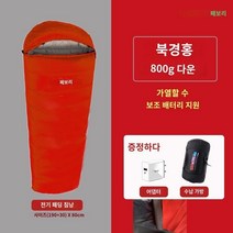 Febory 침낭 전기 난방 성인 남성 야외 캠핑 겨울 두꺼운 따뜻한 실내 USB 충전 면화, R