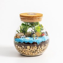 향해사 향기나는 테라리움 DIY키트 #2비밀의숲, 02.토토로 비밀의숲