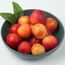 고당도 경북 김천 자두 제철 도담 추희 대석 후무사 자두 2kg, 자두 3kg