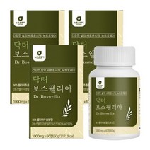 뉴트로웨이 닥터보스웰리아1000mgx60정x3통 보스웰릭산 AKBA+KBA함유 초록입홍합 섭취가 간편한정, 180정, 1000mg