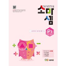 소마셈 P1 (개정판), 소마