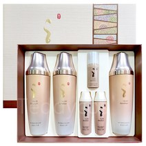다나한 본연진, 2종 특별기획세트(스킨2개+로션1개)