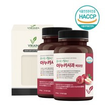 홍국발효 구기자 유산균 발효구기자 추출 분말 청양구기자 고지베리 해썹인증, 120g, 2개