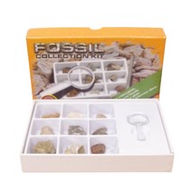 초등과학 관찰학습 화석관찰키트 지질시대 학교 광물 연구활동 전시용 표본 암석 유물