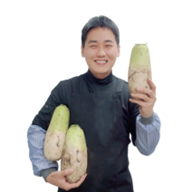 제주 산지직송 아삭아삭 비세척 월동무 겨울무 무우, 월동무 / 7kg / 4~7개