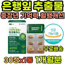 기억력영양제 은행잎추출물 징코 인지능력 혈행개선 기억력개선 은행잎효능 뇌에좋은영양제 두뇌영양제 뇌건강 두뇌건강 수험생영양제 직장인영양제 부모님영양제 어르신영양제 뇌영양제추천