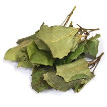 [장명식품] 국내산 황칠나무잎 황칠나무 잎, 300g, 2개