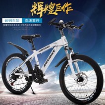 산악자전거 학생 청소년 남녀공용 자전거 변속디스크 20 22 24 26 인치, 24 단 + A + 22 인치