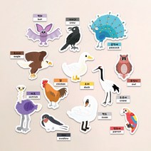 키룸 찰떡 놀이스티커 유아 스티커놀이 학습 교구, 비행동물 스티커