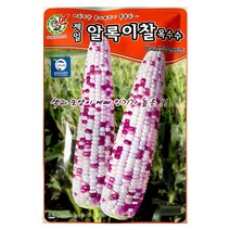 알록이 찰옥수수씨앗 80알 옥수수 씨앗