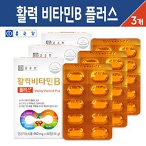 종근당 활력 비타민B 플러스 복합 비타민 B군 60캡슐, 3팩, 활력 비타민B군 플러스 60캡슐