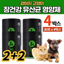 강아지 반려견 고양이 프로바이오틱스 유산균 가루 분말 파우더 프리바이오틱스 차전자피 소화 효소 흑효모 배양액 분말 동결건조 단호박, 4박스