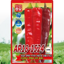 AR18-1524 고추 씨앗 고추 씨 탄저병 역병 종자 1200립, 단품